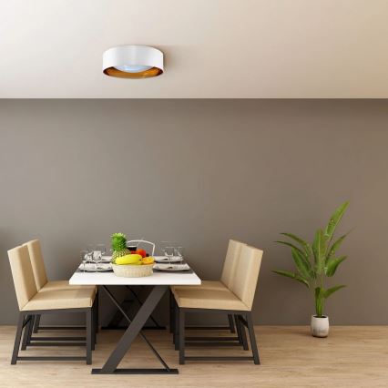 LED Stropné svietidlo TULUZA LED/24W/230V pr. 40 cm biela