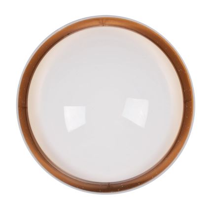 LED Stropné svietidlo TULUZA LED/24W/230V pr. 40 cm biela