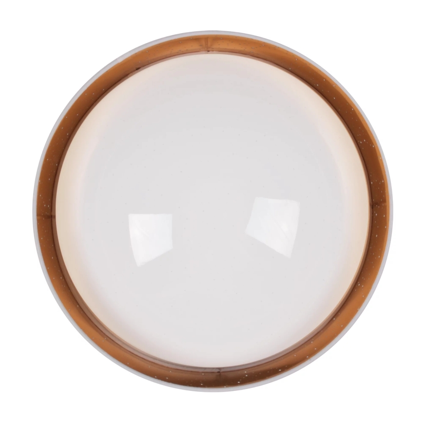 LED Stropné svietidlo TULUZA LED/24W/230V pr. 40 cm biela