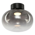 LED Stropné svietidlo VASO LED/4W/230V pr. 18 cm čierna/dymová