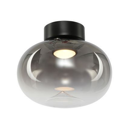 LED Stropné svietidlo VASO LED/4W/230V pr. 18 cm čierna/dymová