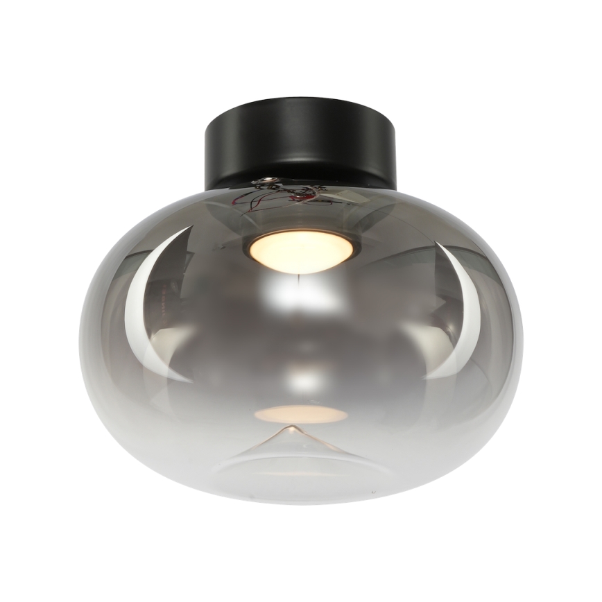 LED Stropné svietidlo VASO LED/4W/230V pr. 18 cm čierna/dymová