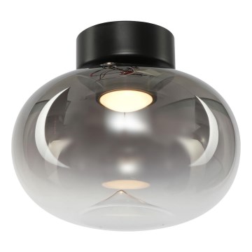 LED Stropné svietidlo VASO LED/4W/230V pr. 18 cm dymová
