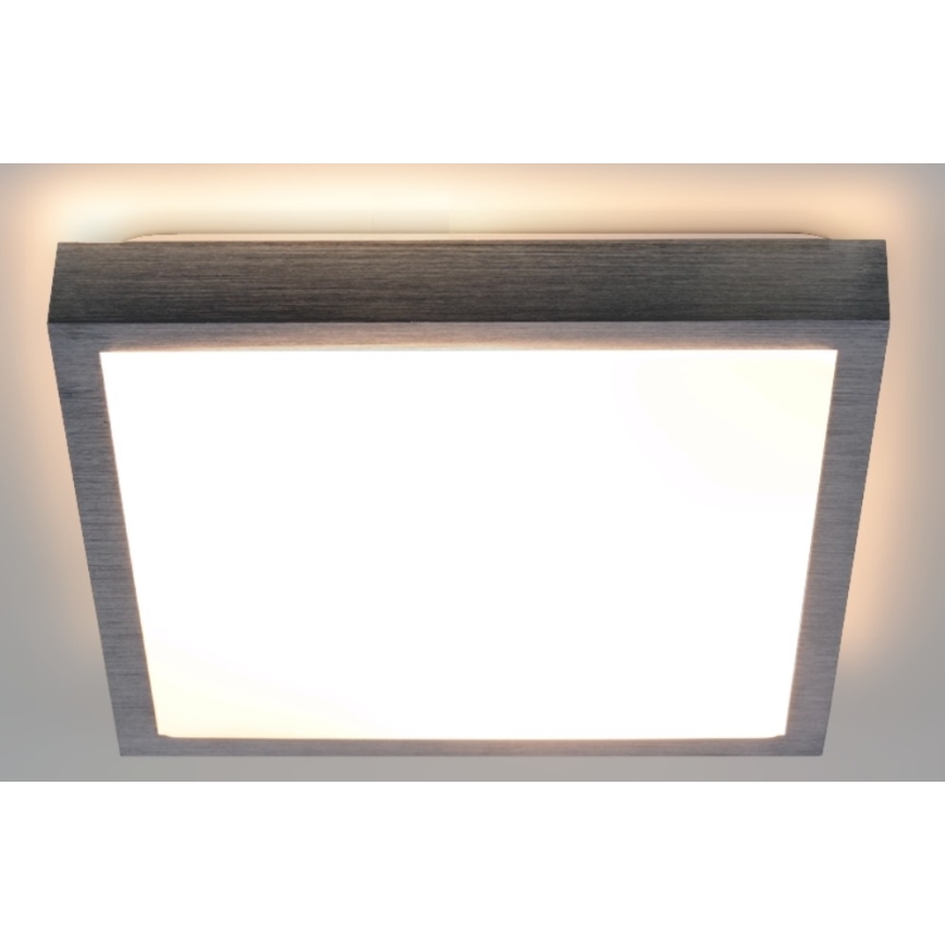 LED Stropné svietidlo VITAL LED/24W/230V matný chróm