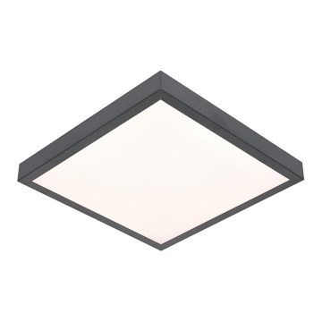 LED Stropné svietidlo VITALI LED/24W/230V