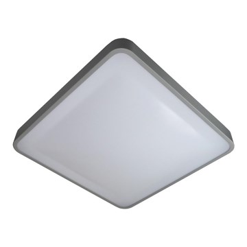 LED Stropné svietidlo WILTON LED/24W/230V 37,5x37,5 cm šedá