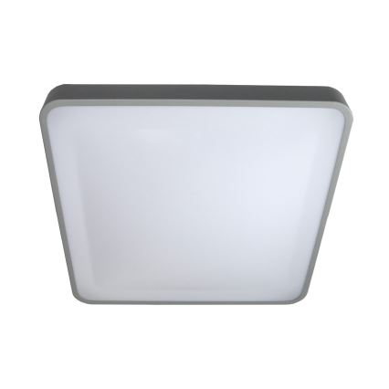 LED Stropné svietidlo WILTON LED/24W/230V šedá