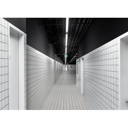 LED Technické svietidlo LIMEA MINI LED/36W/230V IP65 4000K