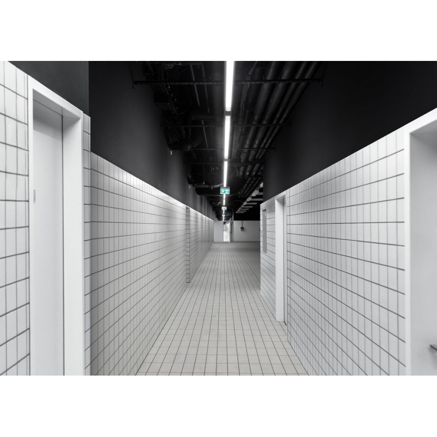 LED Technické svietidlo LIMEA MINI LED/36W/230V IP65 4000K