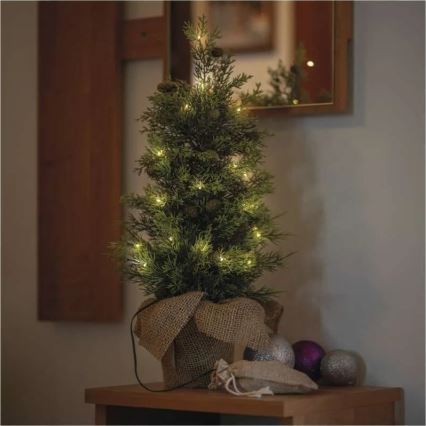 LED Vianočná dekorácia 30xLED/3xAA IP44