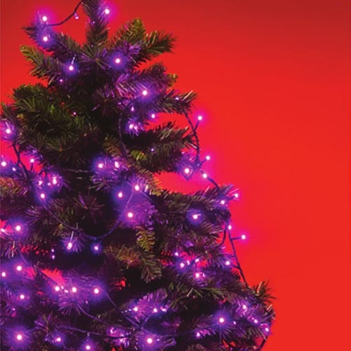 LED Vianočná reťaz 240xLED/8 funkcí 16,8m fialová