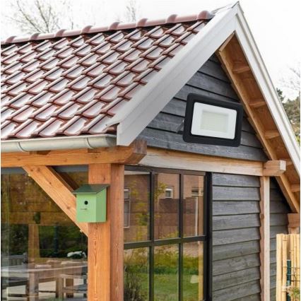 Svetlomét je pripevnený k tmavosivej drevenej stene domu s červenohnedou škridľovou strechou. Na stene je tiež okno a vtáčia búdka.