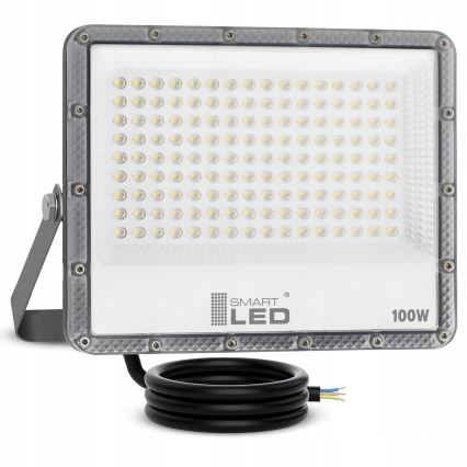 LED vonkajší reflektor LED/100W/230V 4500K IP65 sivý