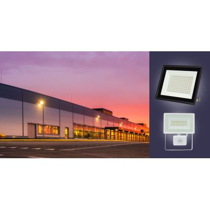 LED Vonkajší reflektor NOCTIS LUX 3 LED/100W/230V 4000K IP65 biela