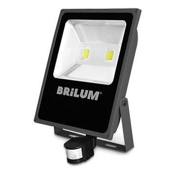 LED Vonkajší reflektor so senzorom LED/100W/230V