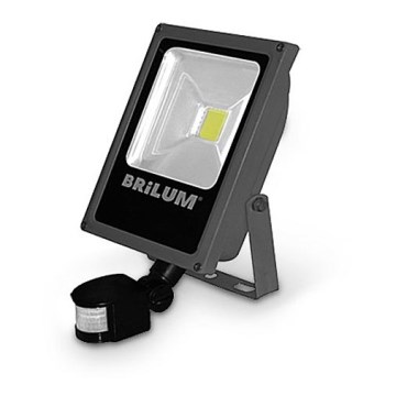 LED Vonkajší reflektor so senzorom LED/30W/230V