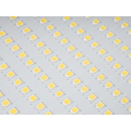 LED Vonkajší reflektor STAR LED/150W/230V IP65 5000K