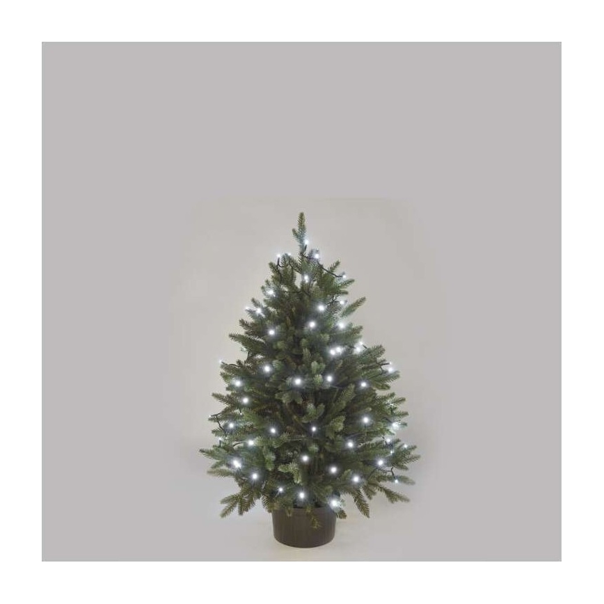 Vianočný stromček s bielymi svetielkami je umiestnený v črepníku pred svetlou sivou stenou. Svetielka sú omotané okolo stromčeka.