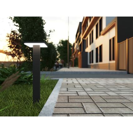 LED Vonkajšia lampa BARI LED/10W/230V 4000K 60 cm IP54 antracit