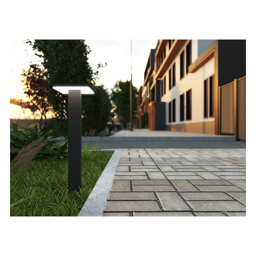 LED Vonkajšia lampa BARI LED/10W/230V 4000K 60 cm IP54 antracit