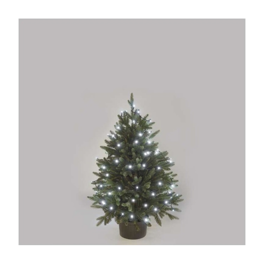 Vianočný stromček s bielymi svetielkami je umiestnený v črepníku pred svetlou sivou stenou.