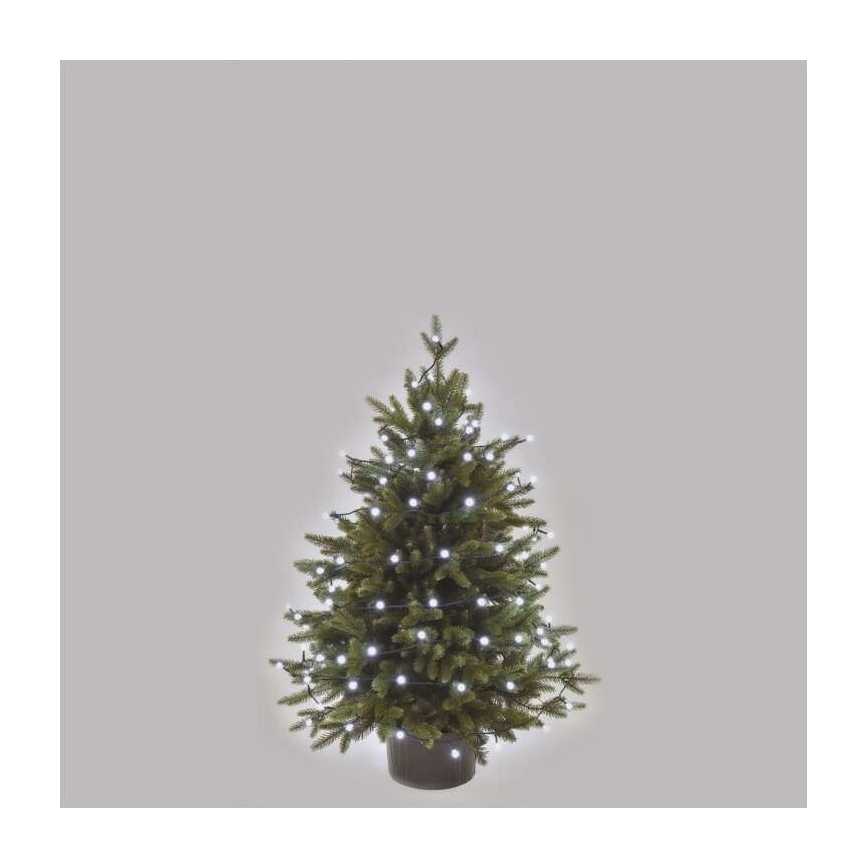 Vianočný stromček s bielymi svetielkami je umiestnený v kvetináči pred svetlosivým pozadím.
