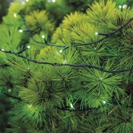 LED Vonkajšia vianočná reťaz 100xLED/10m IP44 zelená