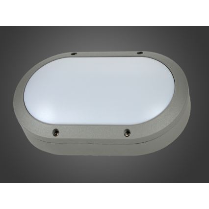 LED vonkajšie nástenné svietidlo BERAD LED/8W/230V IP54 šedé