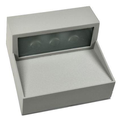 LED Vonkajšie nástenné svietidlo CARRI LED/3W/230V IP54