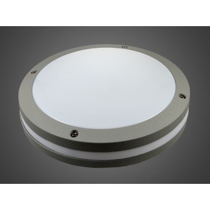 LED vonkajšie nástenné svietidlo JONAS LED/18W/230V IP54 sivá