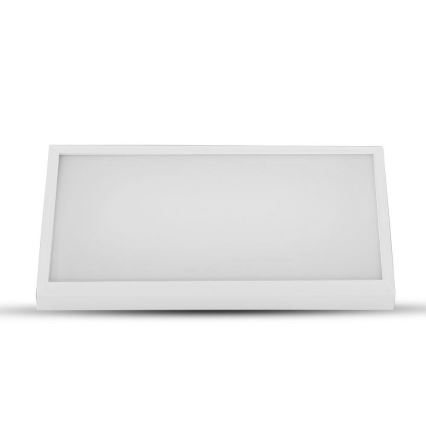 LED Vonkajšie nástenné svietidlo LED/12W/230V 3000K IP65 biela