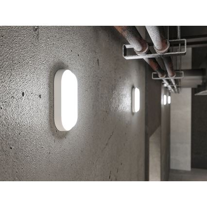 LED vonkajšie nástenné svietidlo LED/12W/230V IP54 biele
