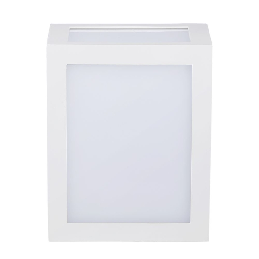 LED Vonkajšie nástenné svietidlo LED/12W/230V IP65 4000K biela