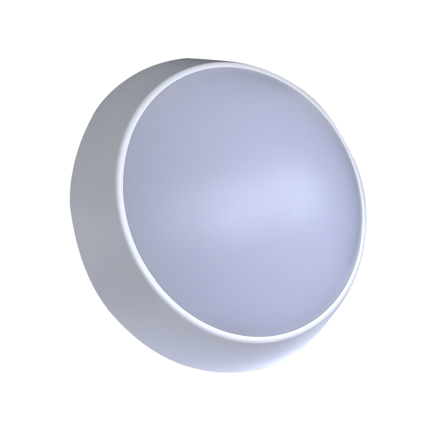 LED Vonkajšie nástenné svietidlo LED/15W/230V 4000K IP65