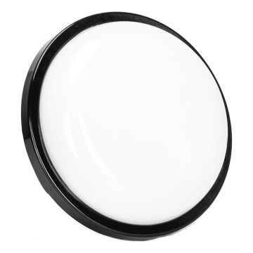 LED Vonkajšie nástenné svietidlo LED/15W/230V 6500K pr. 15,5 cm čierna IP65