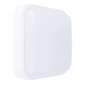 LED Vonkajšie nástenné svietidlo LED/20W/230V IP54 