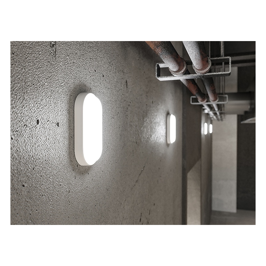 LED Vonkajšie nástenné svietidlo LED/6W/230V IP54 biele