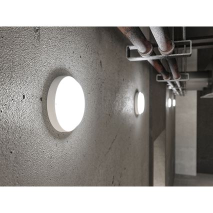 LED vonkajšie nástenné svietidlo LED/9W/230V IP54 biele