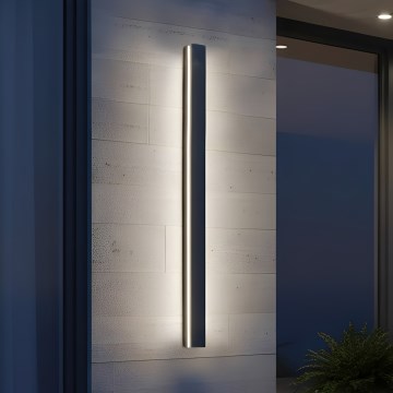 LED vonkajšie nástenné svietidlo MIRANA LED/25W/230V 4000K IP44 120 cm čierne