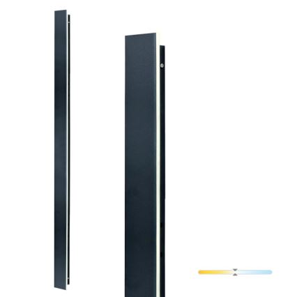 LED vonkajšie nástenné svietidlo MIRANA LED/25W/230V 4000K IP44 120 cm čierne