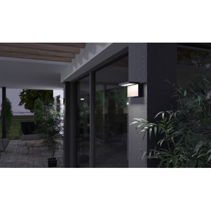 LED Vonkajšie nástenné svietidlo NATURA LED/12W/230V 4000K IP65 hnedá/antracit