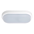 LED Vonkajšie nástenné svietidlo OVAL LED/18W/230V IP54