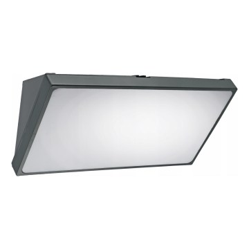LED vonkajšie nástenné svietidlo s pohybovým senzorom LED/20W/230V IP65 sivé
