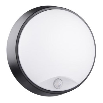 LED Vonkajšie nástenné svietidlo so senzorom BULKHEAD LED/14W/230V IP54