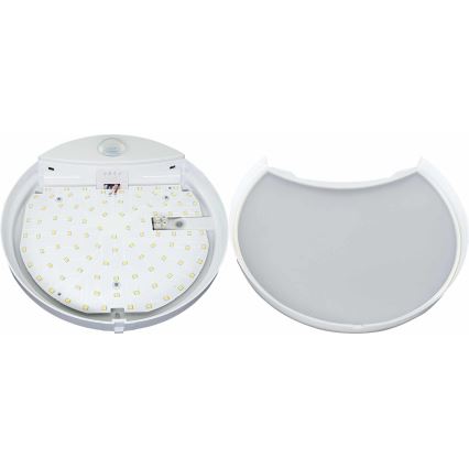 LED Vonkajšie nástenné svietidlo so senzorom HIBIS LED/15W/230V IP44