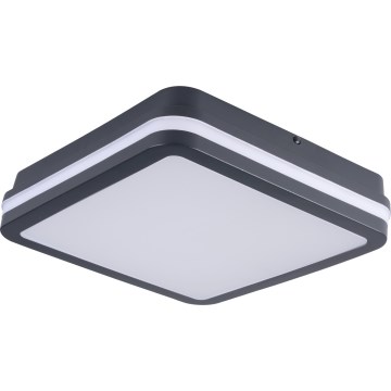 LED Vonkajšie stropné svietidlo BENO LED/24/30W/230V 3000/3500/4000K IP65 antracit hranatý