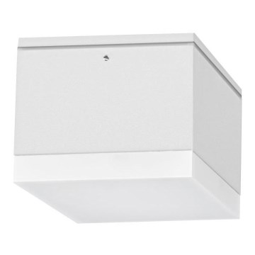 LED Vonkajšie stropné svietidlo BRUNO LED/10W/230V IP54
