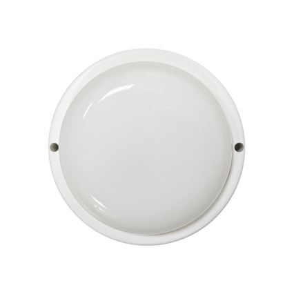 LED vonkajšie stropné svietidlo LED/8W/230V 4200K pr. 14 cm IP64 biela