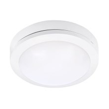 LED Vonkajšie stropné svietidlo SIENA LED/13W/230V IP54 pr. 17 cm biela
