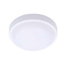 LED Vonkajšie stropné svietidlo SIENA LED/13W/230V pr. 17 cm IP54 biela